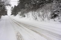 the snow is falling on the snowy road by trees and bushes and electric wires are seen