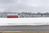 Snowy Road in Uxbridge, Ontario