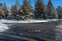 the snowy roadway has been cleaned and is lined with snow and trees on either side