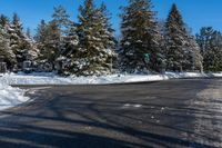 the snowy roadway has been cleaned and is lined with snow and trees on either side