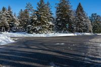 the snowy roadway has been cleaned and is lined with snow and trees on either side