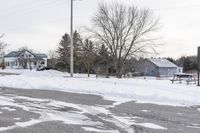 there are snow on the ground of this street near a house with two trees in the background