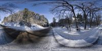 a street view of snow covered trees and road with no traffic on it, with one lane marked in the middle