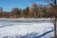 a large body of water with lots of snow on it near a bunch of trees