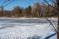 a large body of water with lots of snow on it near a bunch of trees