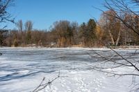 a large body of water with lots of snow on it near a bunch of trees