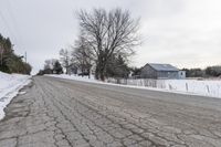 Snowy Tree-Lined Lane in Rural Ontario