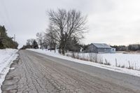 Snowy Tree-Lined Lane in Rural Ontario