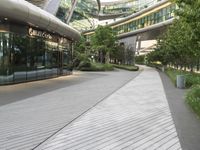 Soho: A Metropolitan Area with Public Transportation