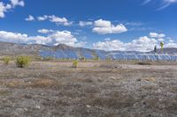 a large array of solar panels in the desert near some mountains on a bright day