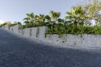 a view of an exterior area on the side of a house, with palm trees, bushes and stones along the wall