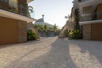 a very big nice looking walkway way with palm trees and buildings in the background for a very beautiful effect