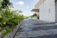 a paved walkway leading into a building with greenery on one side and a stone fence in the other