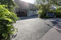 an asphalt paved driveway in front of a building with bushes and trees to the side