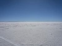 a lone person in the middle of a vast desert surface, looking to the left