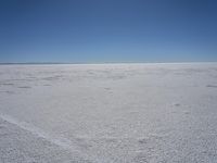 a lone person in the middle of a vast desert surface, looking to the left