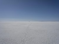 a lone person in the middle of a vast desert surface, looking to the left