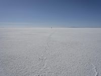 a lone person in the middle of a vast desert surface, looking to the left