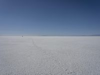 a lone person in the middle of a vast desert surface, looking to the left