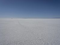 a lone person in the middle of a vast desert surface, looking to the left