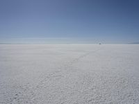 a lone person in the middle of a vast desert surface, looking to the left