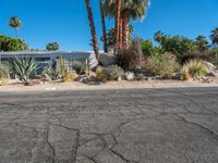 Sonora Desert: Clear Skies in California