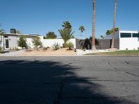 Mid Century Home in the Sonora Desert