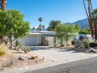 Mid Century House in the Sonora Desert