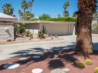 Sonora Desert Mid Century Villa