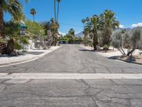 Sonora Desert in Palm Springs: Mid-Century Vibes