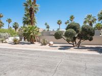 Road through Sonora Desert: A Suburban Neighborhood