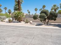 Road through Sonora Desert: A Suburban Neighborhood