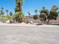 Road through Sonora Desert: A Suburban Neighborhood