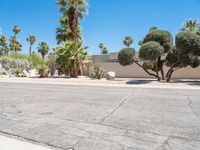 Road through Sonora Desert: A Suburban Neighborhood