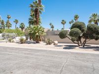 Road through Sonora Desert: A Suburban Neighborhood