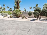 Road through Sonora Desert: A Suburban Neighborhood