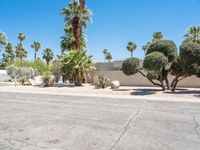 Road through Sonora Desert: A Suburban Neighborhood