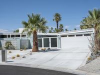 Sonora Desert Suburban Residential Area