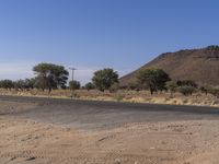 a man is sitting on a bus stop sign in the desert beside a tree lined road