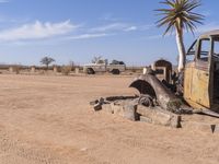 an old car and truck in a desert setting with an old style plant growing out of the back