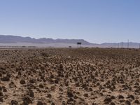 desert landscape with a fenced off dirt area and distant mountains in the background, blue sky and clouds