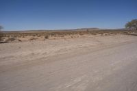 South Africa's Desert Plateau: Under a Clear Sky