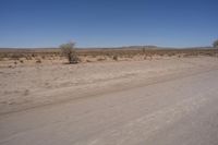 South Africa's Desert Plateau: Under a Clear Sky