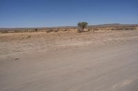 South Africa's Desert Plateau: Under a Clear Sky