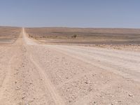 a horse running down a desert road in the distance is hills and dry grass to the left of the image