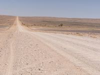 a horse running down a desert road in the distance is hills and dry grass to the left of the image