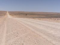 a horse running down a desert road in the distance is hills and dry grass to the left of the image