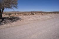 the desert road is mostly deserted on this sunny day and is often marked in red