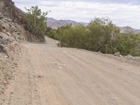 South Africa Desert Road Sand Landscape 001