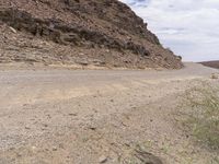 Endless Road in South Africa: Brown Landscape